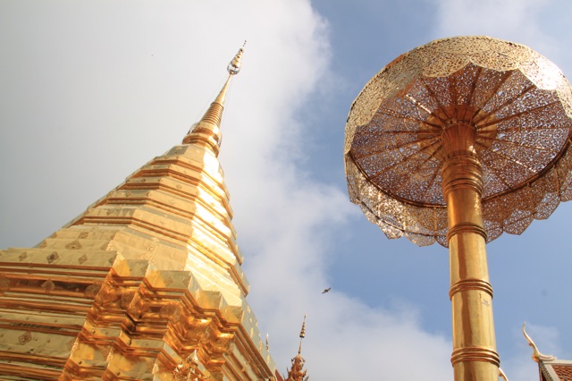 1.1359763260.doi-suthep