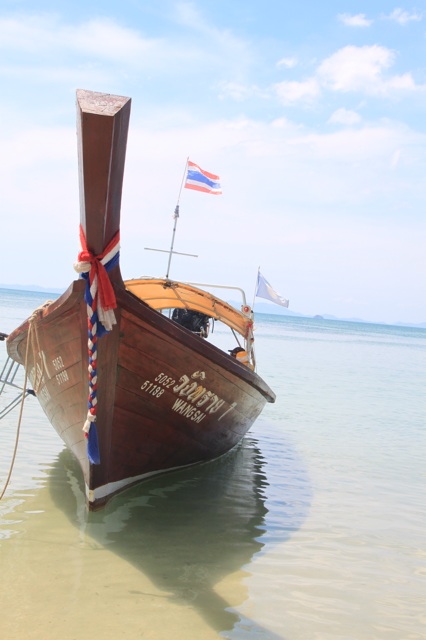 1.1360410488.longtail