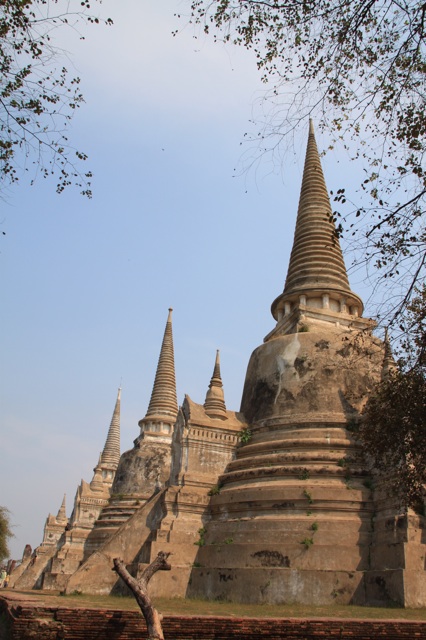 1.1360753084.sanphet