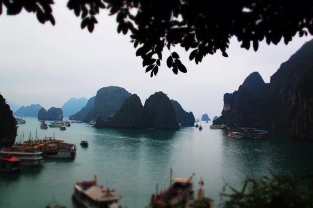 1.1362009600.view-across-the-bay