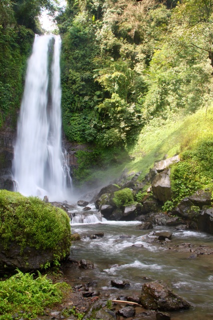 1.1365292800.gitgit-waterfall