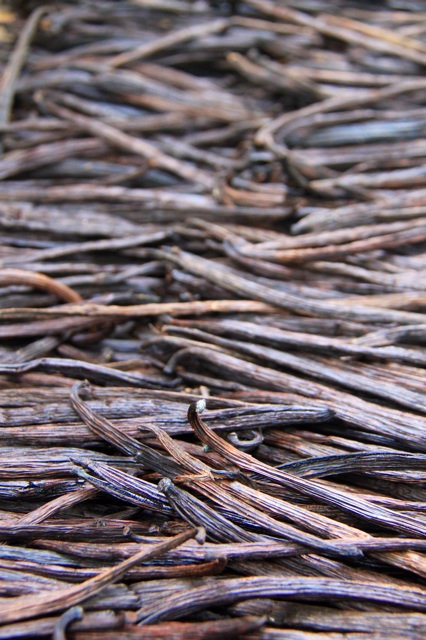 1.1365292800.vanilla