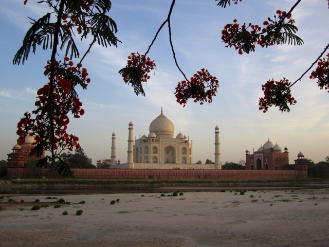 1.1367107200.from-the-gardens