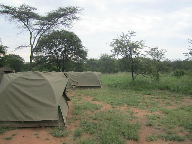 1.1325773653.camping-in-the-serengeti