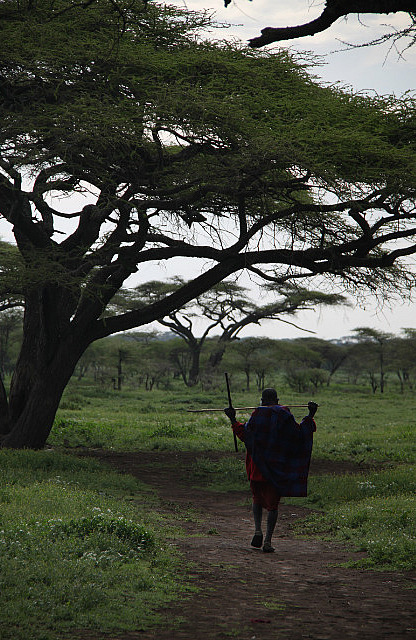 1.1325773735.9-masai