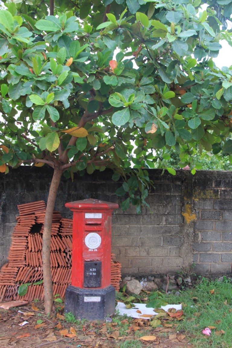 2.1383350400.familiar