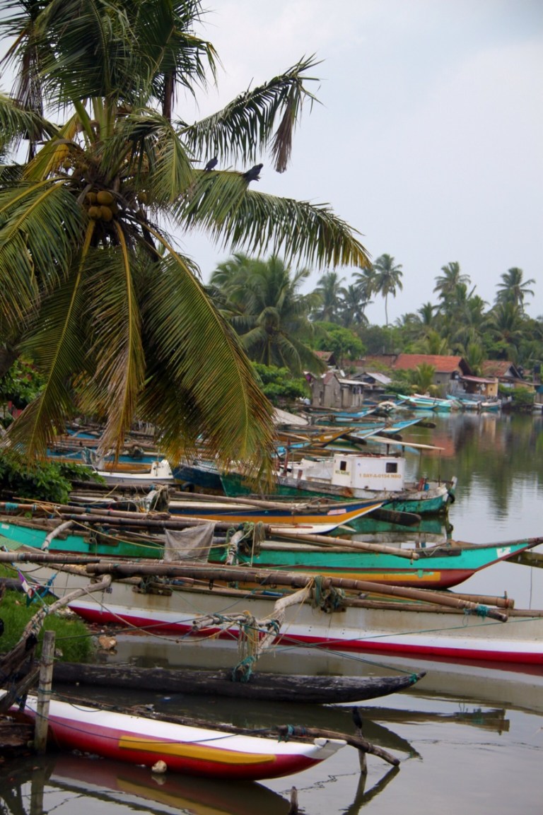 2.1383350400.mangroves