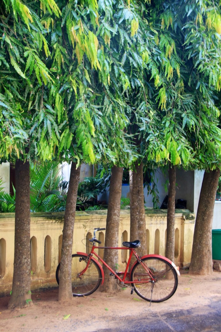 2.1383350400.village-life