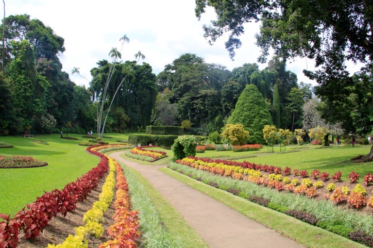 2.1383837621.botanicals---flower-garden