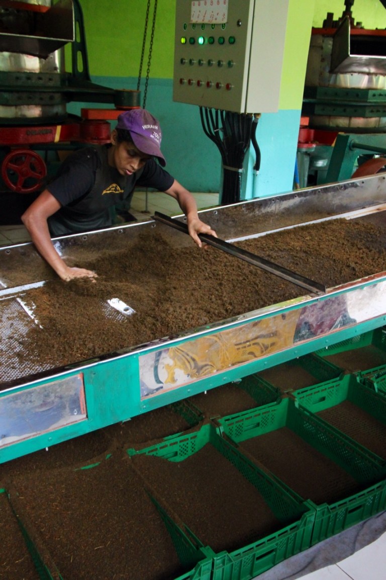 2.1383837621.tea-factory---sorting-grades-of-tea