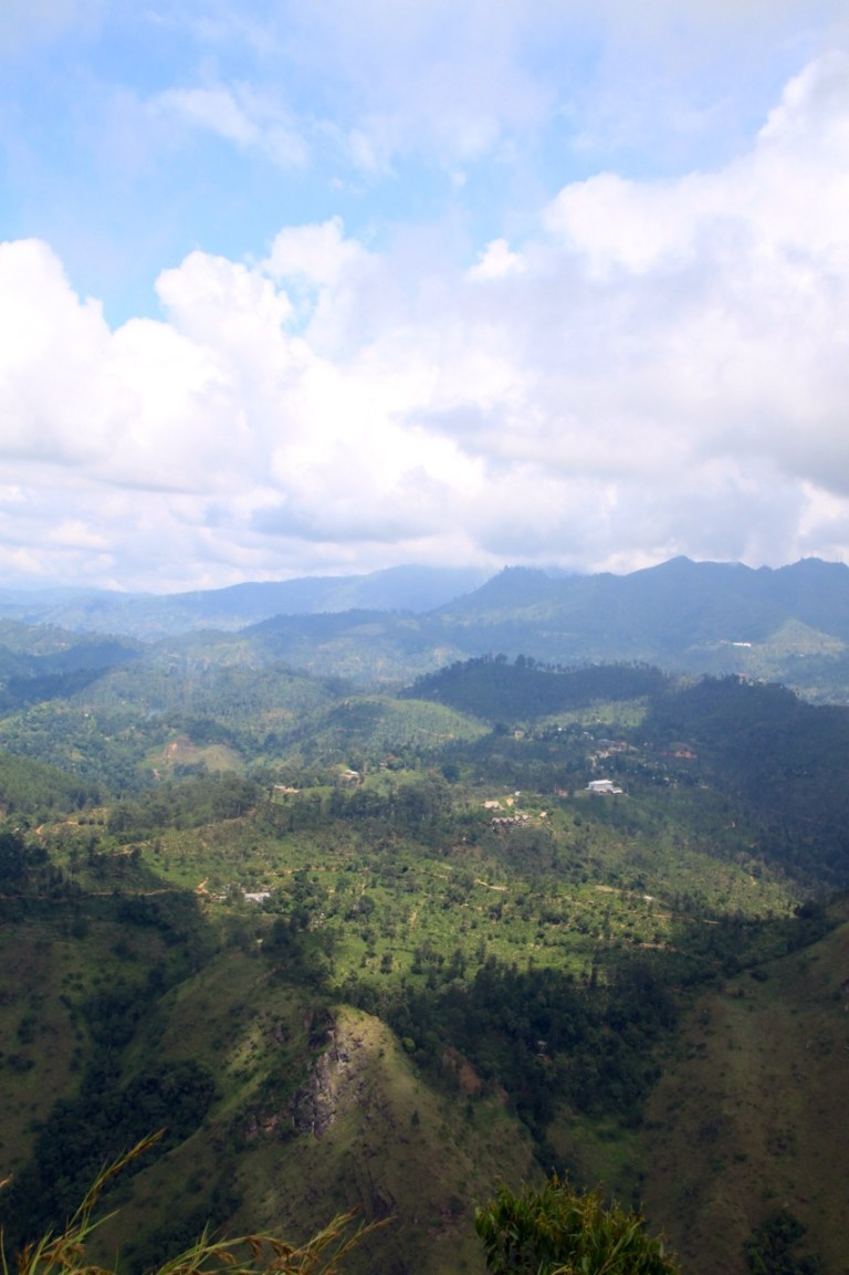 2.1383955200.at-the-top