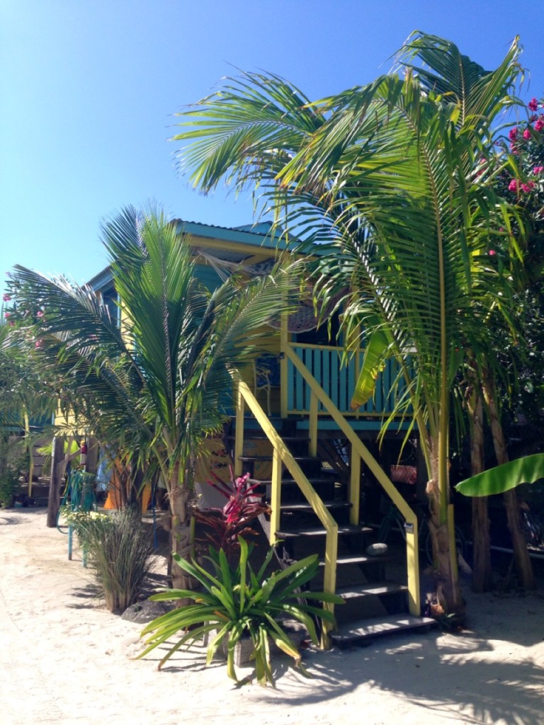 3.1394872669.my-home