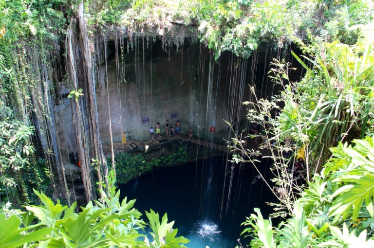 3.1397260800.cenote