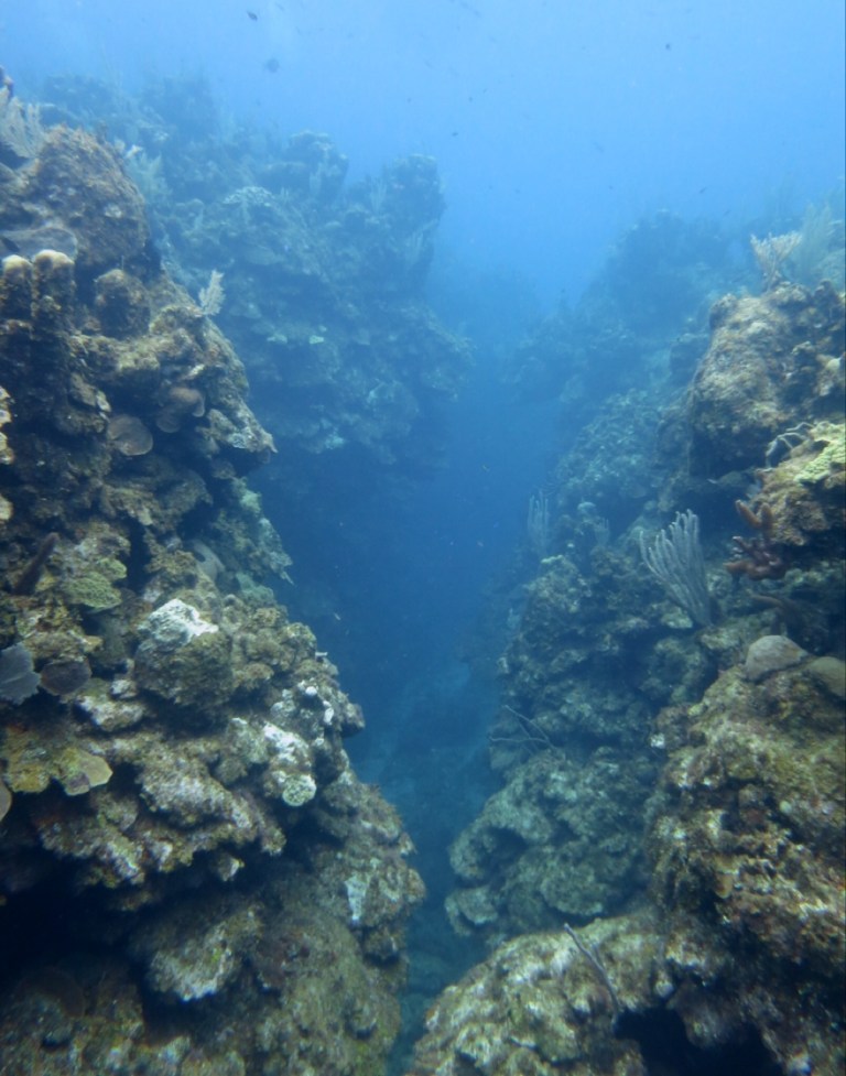 3.1397952000.coral-canyons