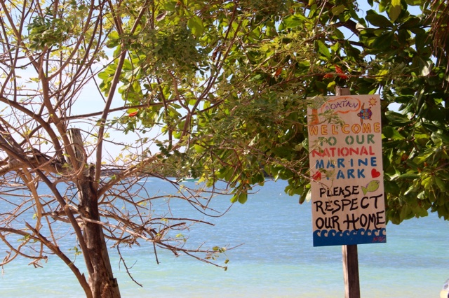 3.1398211200.bye-roatan