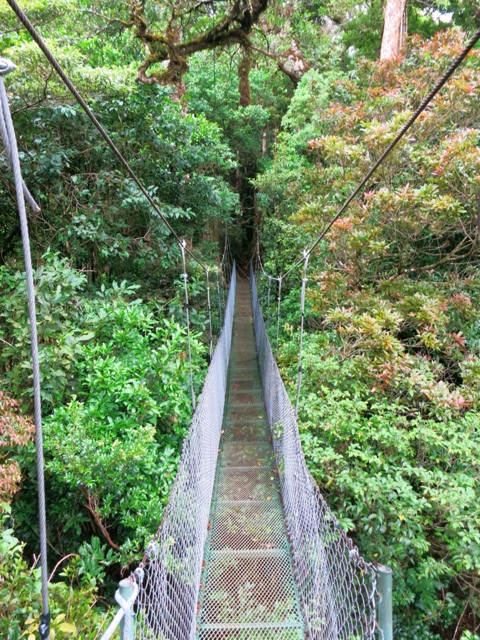 3.1398722756.walkways