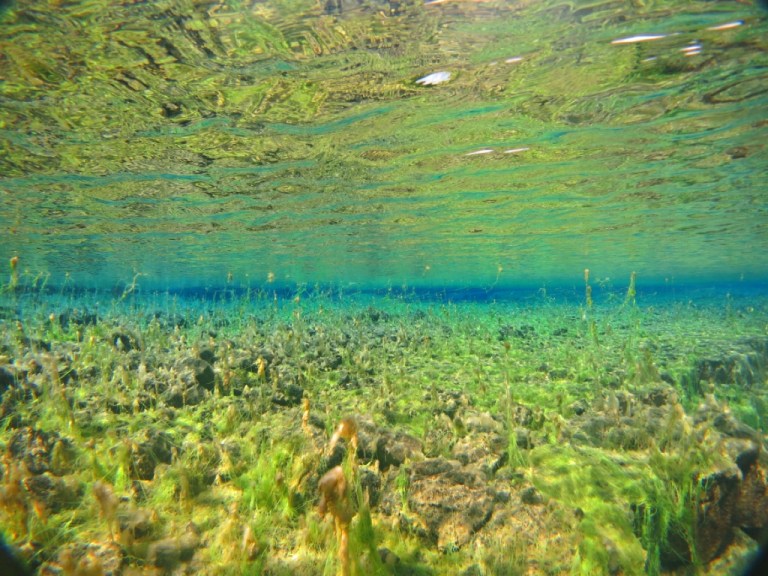 3.1409184000.the-lagoon