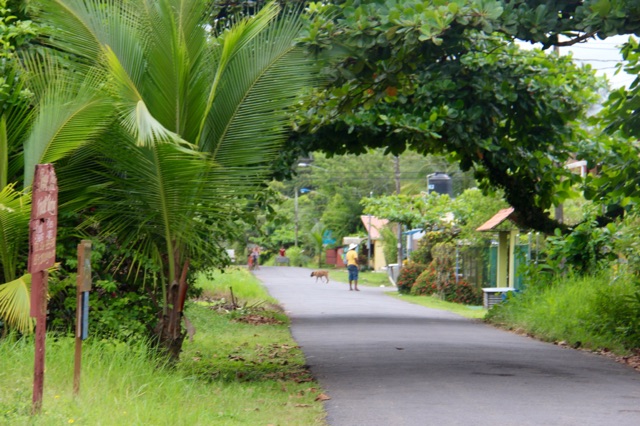 3.1415318722.puerto-viejo