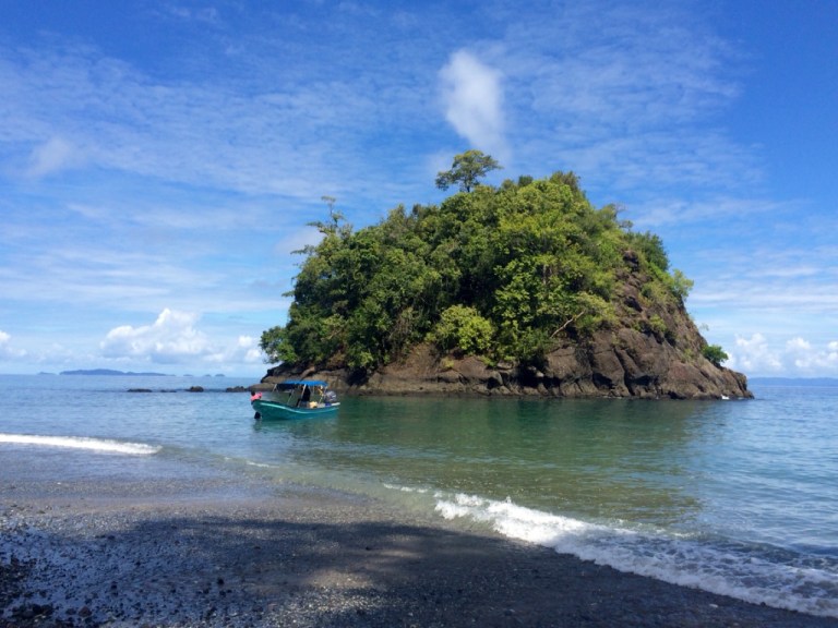 3.1415750400.jungle-beach