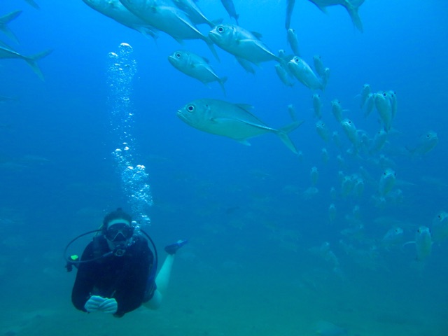 3.1415750400.living-my-dream