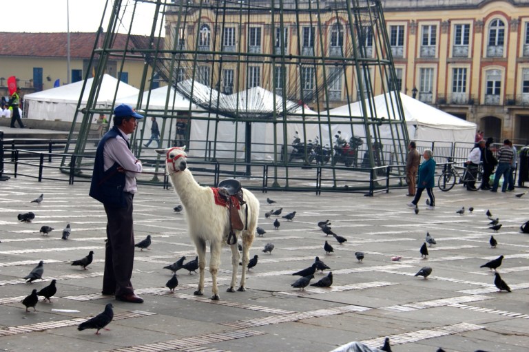 3.1416614400.llama-party