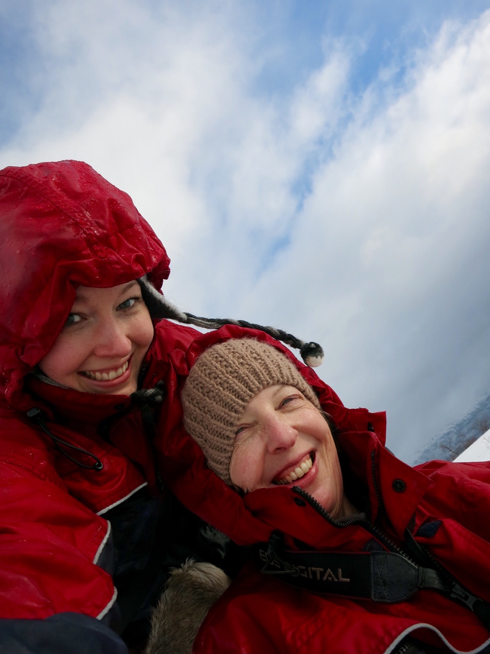 4.1426204800.on-our-dog-sled