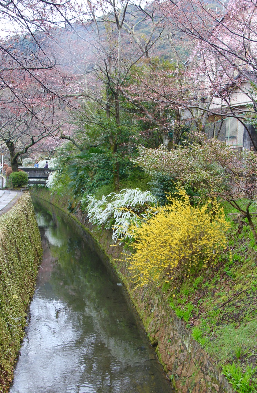 5.1459036334.philosophers-walk