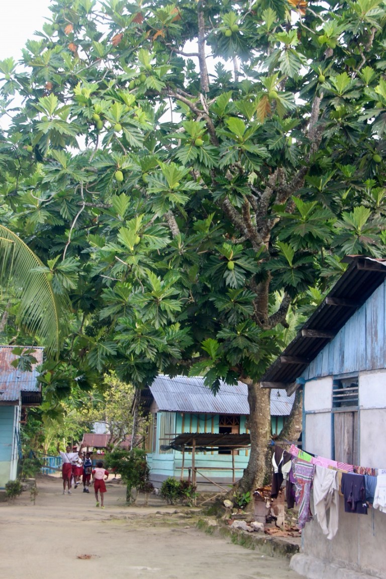 5.1478736000.village