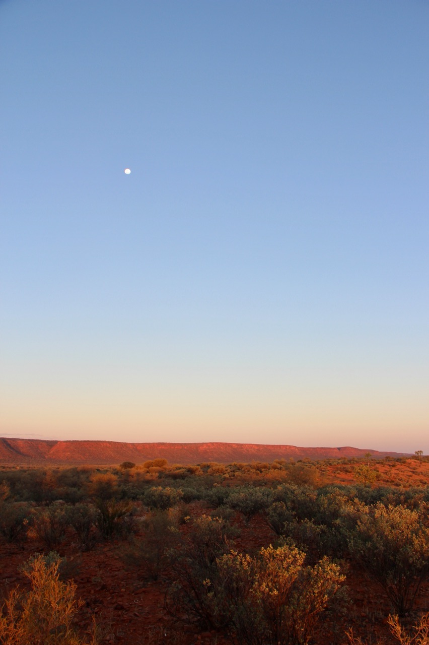 5.1478908800.kings-canyon