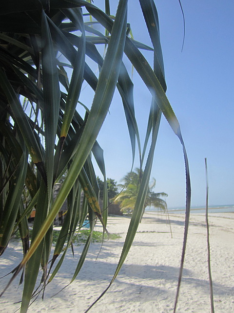 1.1325773825.dar-beach