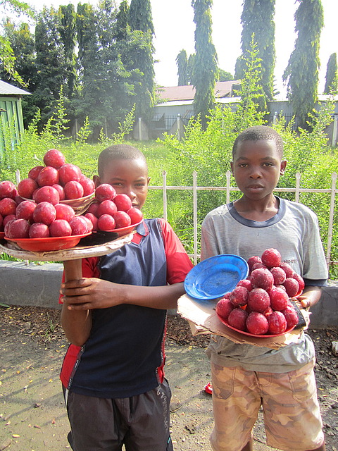 1.1326126097.plum-boys