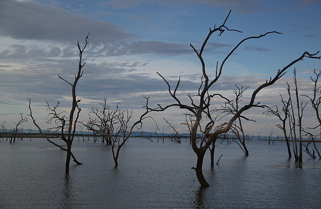 1.1327005298.4-kariba