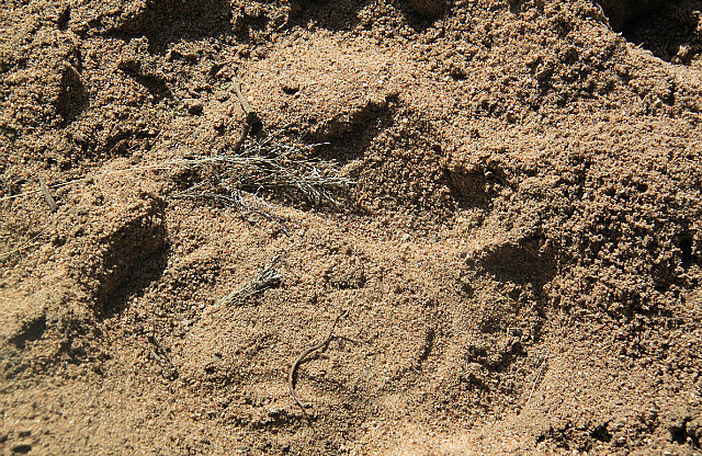 1.1327423427.rhino-print